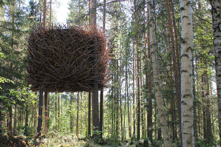 Kuş yuvası ağaç evi - İsveç