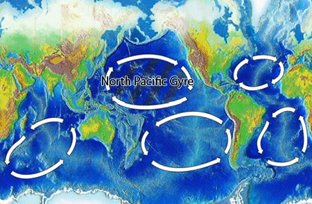 Kuzey Pasifik Akıntısı